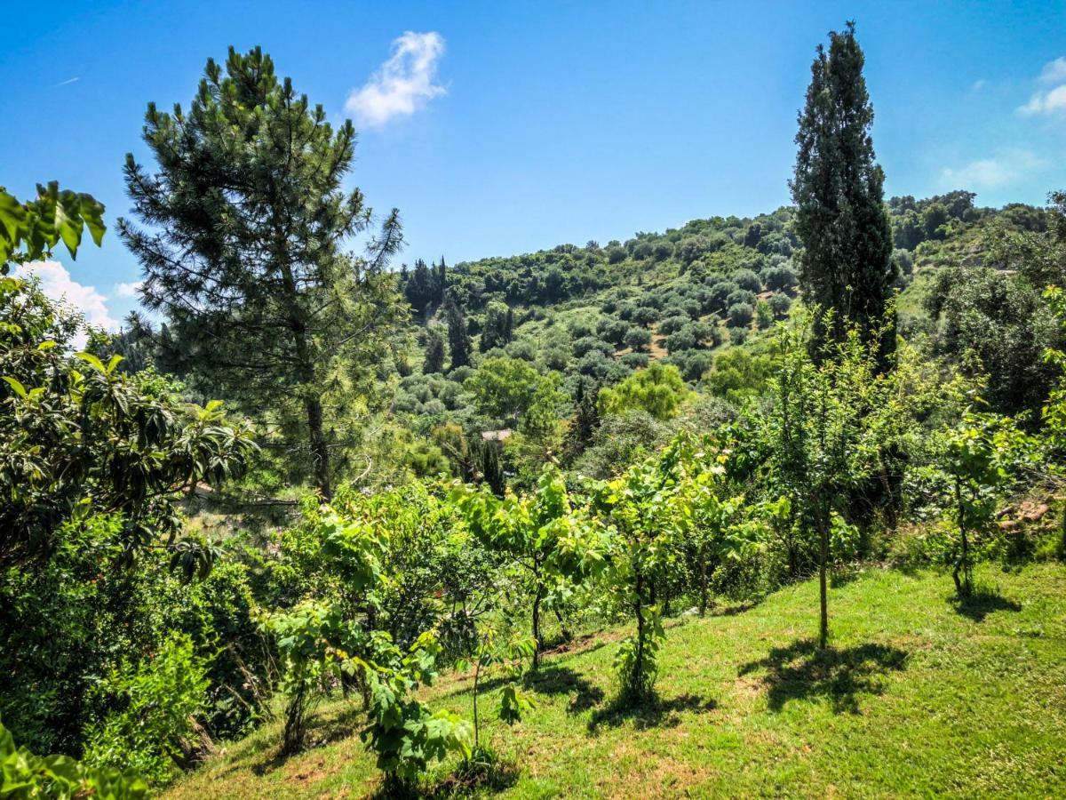 Hidden Gem In Nature Reserve Near The Beach - Corfu South Kritika  Екстериор снимка